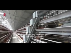 Một loại thiết bị lồng gà hoàn toàn tự động cho trang trại gia cầm công suất 20.000 Sandy