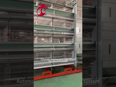 Thiết bị chăn nuôi gia cầm đẻ Lồng gà 4 tầng 2,40m * 2,60m * 2,0m Hoa hồng