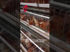 Hệ thống lồng lớp có độ bền cao Thép carbon thấp kẽm nóng ở châu Phi Adela