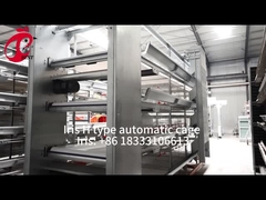 Một loại H tự động đẻ gà nuôi gia cầm lồng hệ thống ở châu Phi thị trường Iris