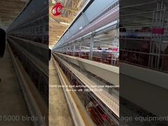 Thiết bị nuôi gà tự động có điều khiển bằng máy tính Star