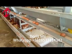 120-200 gà Capacity Lớp hệ thống lồng pin cho 500 đến 50000 trang trại gà Doris