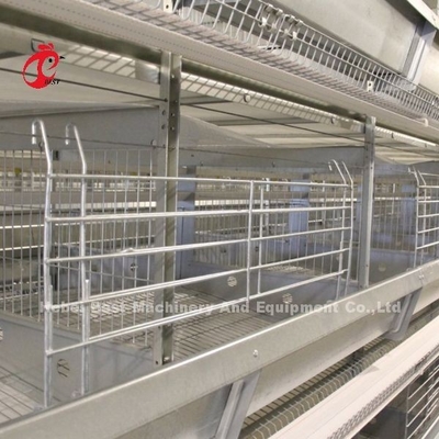 Gà 12 tế bào Lớp hệ thống lồng pin 4 Tier cho trang trại Adela