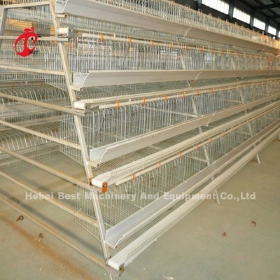 Hệ thống lồng 4 tầng Loại A Hệ thống lồng uống và cho ăn tự động Adela mạ kẽm nóng