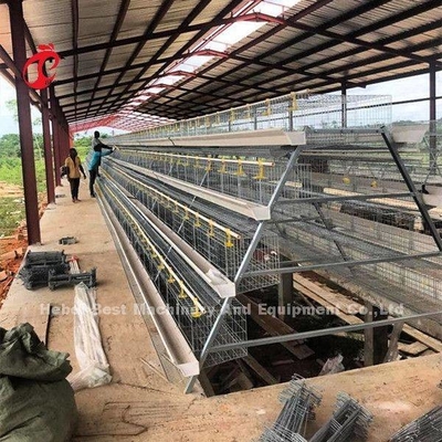 Chuỗi dây đường kính 2.8mm-3.5mm Lớp nông nghiệp hệ thống lồng với hệ thống uống tự động Adela