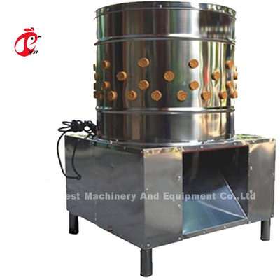 Hệ thống chế biến gà thịt công nghiệp Trung Quốc Máy đánh trứng gà Iris
