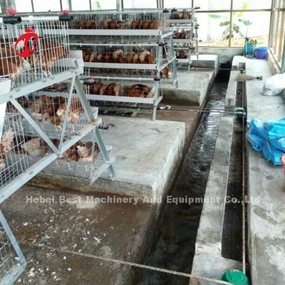 Máy cạo phân gia cầm tự động 3 giai đoạn Loại bỏ chất thải gà có cát