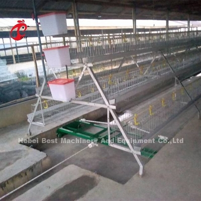 Máy quét phân gia cầm 2 hoặc 3 hàng 380v Iris tự động