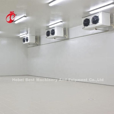 Kho lạnh gà hiệu quả cao 20ft 40ft cho các sản phẩm gia cầm Mia