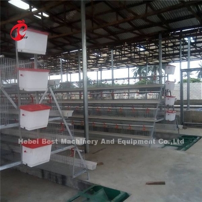 Thiết bị loại bỏ phân tự động 380v gia cầm gà nhà sàn quét Ada