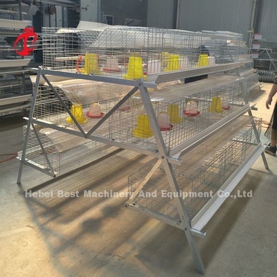 Lồng gà tuổi thọ 25 năm tuổi thọ mạ kẽm Emily