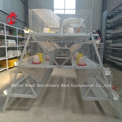 Lồng gà tuổi thọ 25 năm tuổi thọ mạ kẽm Emily