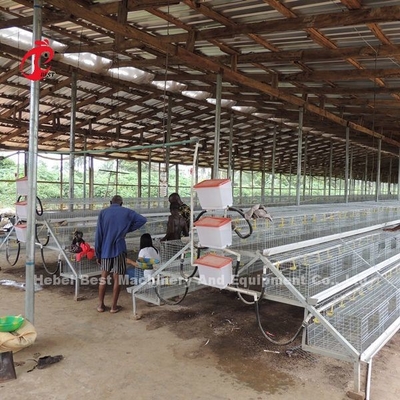 CE A Loại 120 Lồng nuôi chim Gà có Người uống rượu và Người cho ăn Ngôi sao