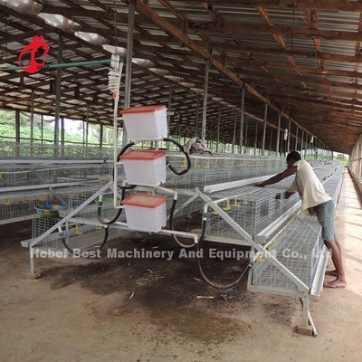CE A Loại 120 Lồng nuôi chim Gà có Người uống rượu và Người cho ăn Ngôi sao