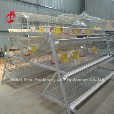 Q235 A Loại 3 tầng Pullet Gà Lồng Adela bạc mạ kẽm