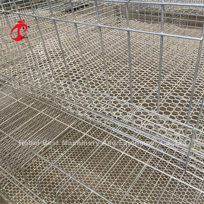 Lồng gà thịt loại A hoặc H mạ kẽm cho gà Doris một ngày tuổi đến trưởng thành