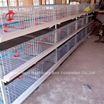 Thiết bị nuôi nhốt chuồng gia cầm A và H dành cho gà con ngày tuổi Sandy