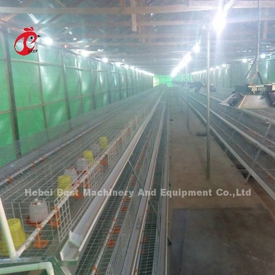Chuồng nuôi gia cầm Trang trại chăn nuôi gà bố mẹ Thiết bị chăn nuôi Sandy