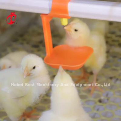 Baby Chick 2.5mm Brooder Cage Hệ thống nuôi tự động Rose
