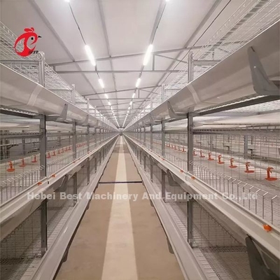 Một loại lồng gà gà và trang trại gia cầm nhà xây dựng thiết kế Mia