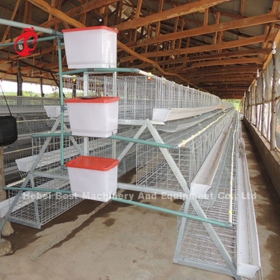 120 chim 200 chim dung lượng gia cầm hệ thống lồng pin cho các lớp thịt gà gà gà gà con chim