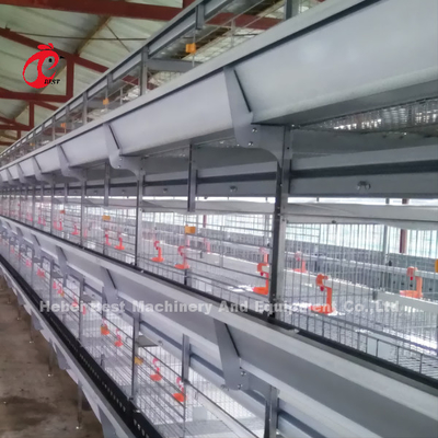 Lồng gà tự động nuôi gia cầm tự động Nhà lắp ghép Giải pháp hoàn chỉnh Rose