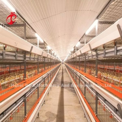 Hệ thống lồng pin gia cầm thông minh bán tự động và tự động cho gà thịt Iris