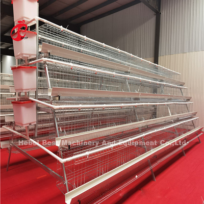 Hệ thống lồng pin mạ kẽm 5 tầng 450cm2 Lớp mạ kẽm Gà mái đẻ trứng Emily