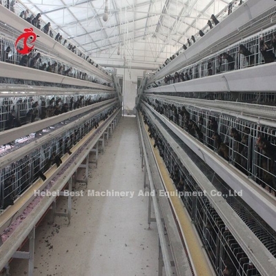 2.8mm-3.5mm Cage đường kính dây gia súc gia cầm hệ thống lồng cho hiệu quả nuôi cao Adela