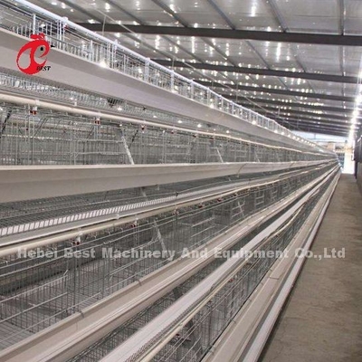 Thép không gỉ dây pin lồng cho gà 432cm2 diện tích chim Adela