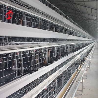 4 Tiers Chicken Cage Thiết bị hoàn toàn tự động Giải pháp tùy chỉnh có sẵn Adela