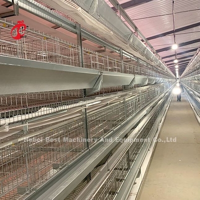 Thép không gỉ dây pin lồng cho gà 432cm2 diện tích chim Adela