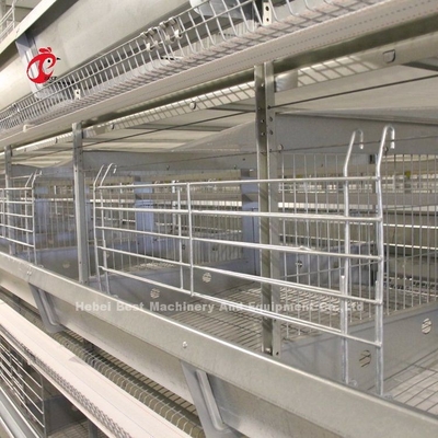 2.2m Lớp hệ thống lồng pin cho dung lượng 120-200 gà Adela