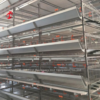 4 Tiers Chicken Cage Thiết bị hoàn toàn tự động Giải pháp tùy chỉnh có sẵn Adela