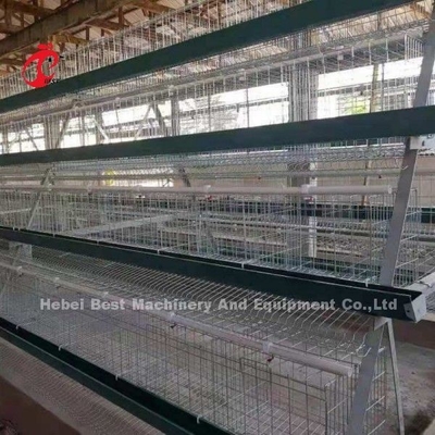 Hệ thống lồng nuôi gà loại A mạ kẽm Tuổi thọ 20 năm Doris