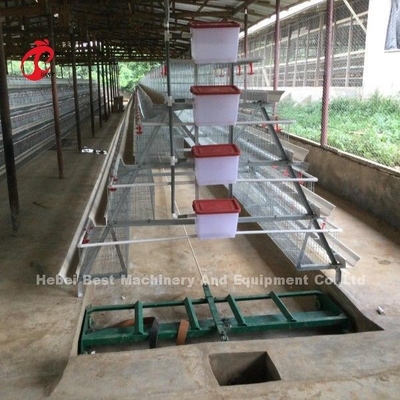 2.2m Lớp hệ thống lồng pin cho dung lượng 120-200 gà Adela