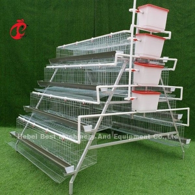 Tốt nhất bán loại A 4 Tiers Hot Galvanized tự động gà pin chuồng bán Adela