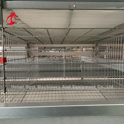 4 Tiers Chicken Cage Thiết bị hoàn toàn tự động Giải pháp tùy chỉnh có sẵn Adela