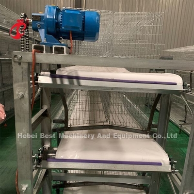Thiết bị loại bỏ phân tự động Băng tải có dải cạo Adela