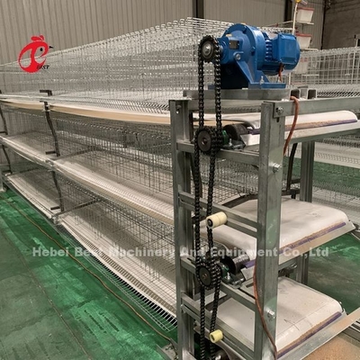 Gà 12 tế bào Lớp hệ thống lồng pin 4 Tier cho trang trại Adela