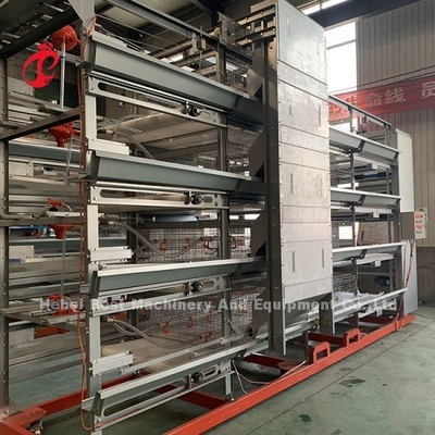 Tuổi thọ 20 năm Trang trại gia cầm Thiết bị lồng gà tự động cho 20.000 lớp Adela