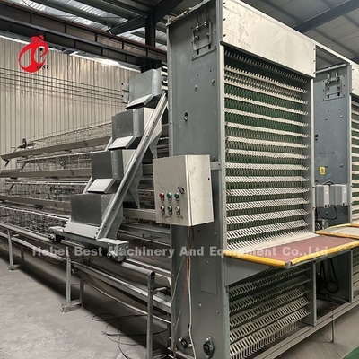 Thiết bị lồng gà tự động loại A hoặc H của hệ thống thu trứng cho 35.000 chim