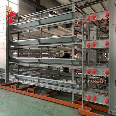 Thiết bị loại bỏ phân tự động Băng tải có dải cạo Adela