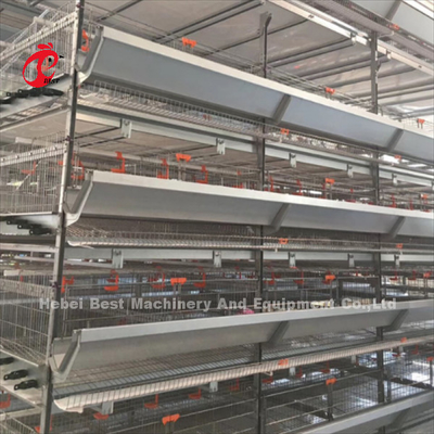 Tuổi thọ 20 năm Trang trại gia cầm Thiết bị lồng gà tự động cho 20.000 lớp Adela