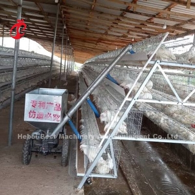 Xe cho gà ăn tự động tùy chỉnh cho trang trại gia cầm Emily