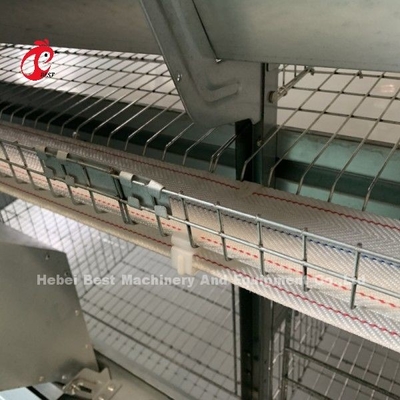 Thiết bị lồng gà tự động H khung 4 lớp nuôi lồng cho 50.000 nông trại Doris Shi