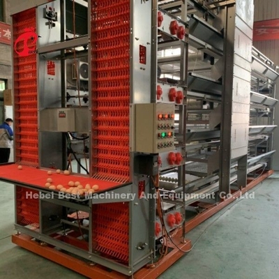 Thiết bị lồng gà tự động H khung 4 lớp nuôi lồng cho 50.000 nông trại Doris Shi