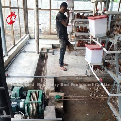 Máy cạp phân tự động và loại dây đai được thiết kế cho trang trại gà Sandy