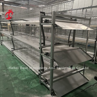 Máy cạp phân tự động và loại dây đai được thiết kế cho trang trại gà Sandy