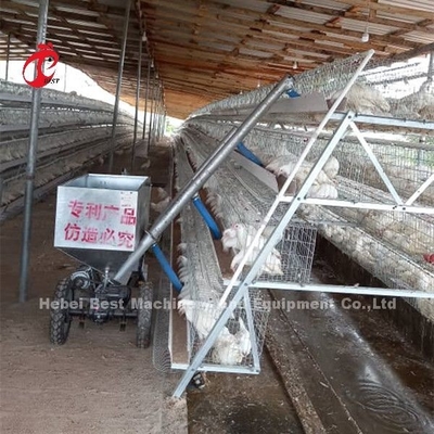 Xe cho gà ăn tự động được thiết kế cho chuồng gà nuôi gia cầm Sandy